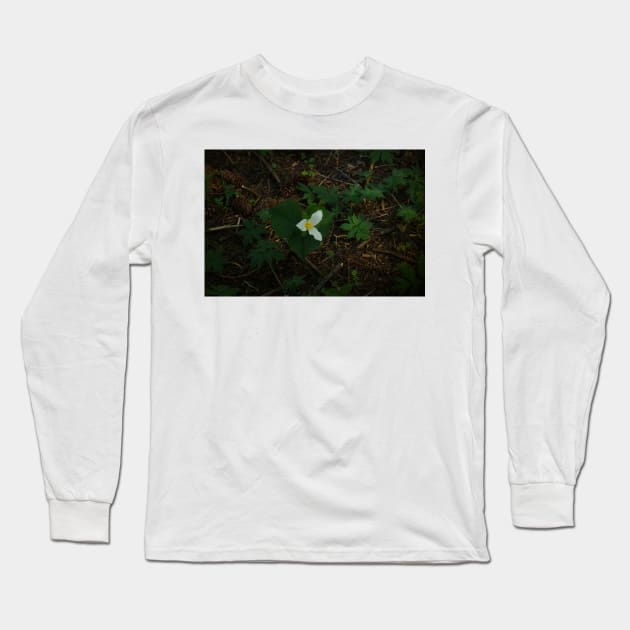 850_5509 Long Sleeve T-Shirt by wgcosby